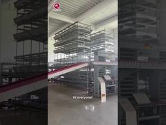 H Tipi Katmanlı Tavuk Kafesi Otomatik Kümes Hayvanları Sistemi