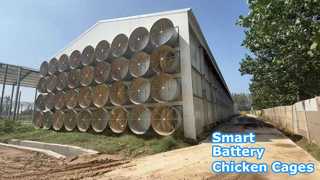 Çevre Kontrollü Akü Katmanlı Tavuk Kulübesi