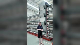 Otomatik Broyler/Yumurta Kafes Sistemi Kümes Hayvanı Çiftliği Karını En Üst Düzeye Çıkarır