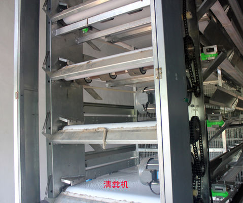Fully Automatic H-Type Broiler Cage System with Hot-Dip Galvanized Steel for High-Density Poultry Farming