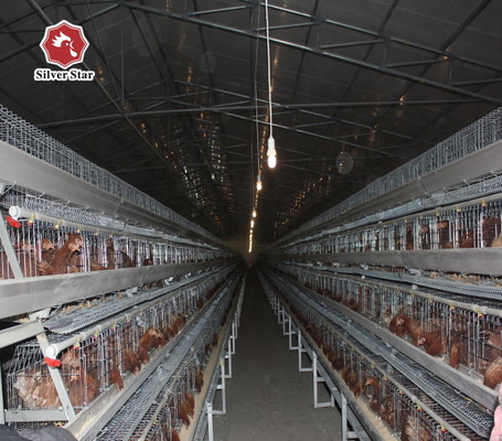 A Type Battery Chicken Layer Cage 3 Tier 120 Capacity For Poultry In Dubai