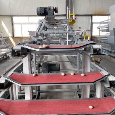 Affordable Automatic A-Type Layer Battery Cage System for Medium & Large Poultry Farms