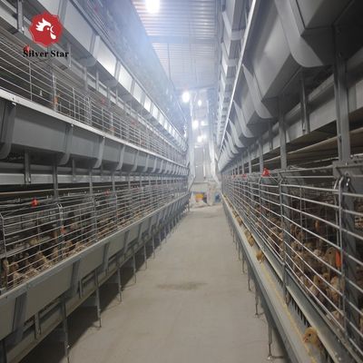 Automated H-Type Meat Broiler Cage System | High-Density Commercial Poultry Equipment