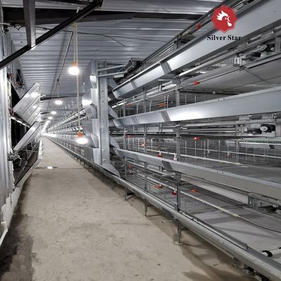 Precision-Engineered H-Type Meat Broiler Cage System | High-Yield Commercial Poultry Production Equipment