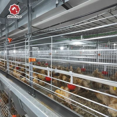 Precision-Engineered H-Type Meat Broiler Cage System | High-Yield Commercial Poultry Production Equipment