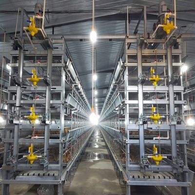 Multi-Level H Frame Broiler Housing Cage Durable Galvanized Steel Poultry Equipment for Commercial Grow-out Farms