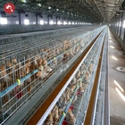 High Brood Survival Rate Layer Chicken Broiler Cage For Little Chick