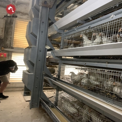 0.75kw Auto Feeding Layer Chicken Cage 54-384 Birds For Husbandry