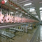 Halal Poultry Automatic Chicken Slaughtering Machine 300BPH To 10000BPH