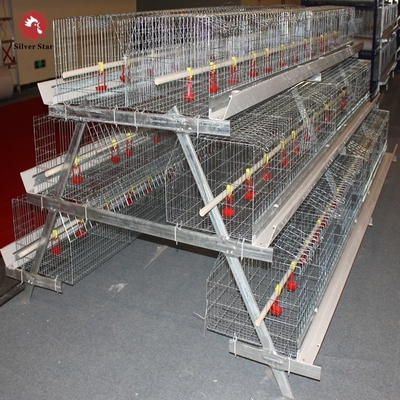 144 Birds Broiler Breeder Battery Chicken Cages Layer 3 Tiers A Frame