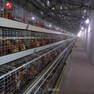 108 Chickens High Brood Survival Rate Broiler Cage System For Little Chick