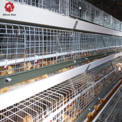 108 Chickens High Brood Survival Rate Broiler Cage System For Little Chick