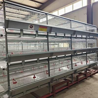 3-9 Floor Farm Battery Chicken Cage With Automatic System High Density