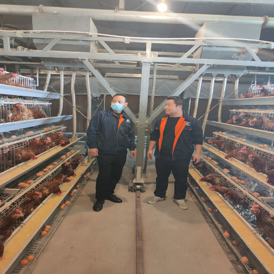 Galvanized H410mm Poultry Battery Cage , 494cm2/Bird Egg Laying Equipment