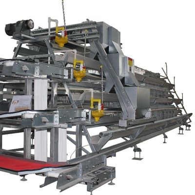 Q235 Hot  Galvanized Automatic Egg Layer Chicken  For Poultry Farm