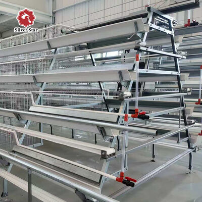Cost-Effective 3-Tier A-Type Layer Cage with Galvanized Steel and Automatic Feeding System for Poultry Farms