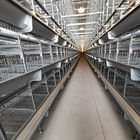 Q235 Standard Steel Layer Chicken Cage Hot Dipped Galvanized