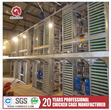 Commercial H-Type Layer Cage from Reliable Supplier & Manufacturer | Safe Delivery & Container Loading