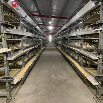 Otomatik H Tipi Broiler Batarya Kafes Sistemi Ticari Et Tavuk Çiftlikleri için Sıcak Dip Galvanize Çerçeve ve 3-4 Katman Yapısı