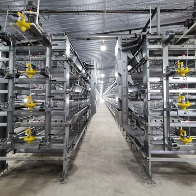 Industrial Automated H-Type Broiler Battery Cage System | Premium Commercial Poultry Rearing Machinery