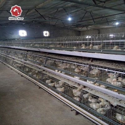 En İyi Fiyat A Tipi Broiler Kafes Sistemi Otomatik 1000 ₹50000 Tavuk için A Tipi Broiler Kafes