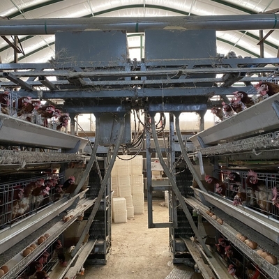 Kümes H Tipi 3 Tier 4 Katlı Yumurtacı Tavuklar Katmanlı Yumurta Tavuk Kafesi