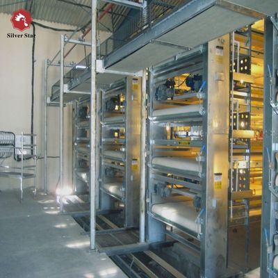 Automated H-Type Broiler Cage System - Full Automatic Hot Galvanized High-Density Poultry Farming Equipment