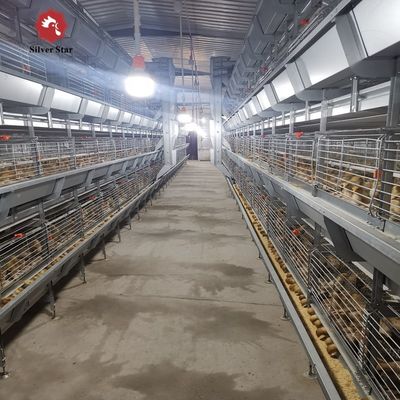 Precision-Engineered H-Type Meat Broiler Cage System | High-Yield Commercial Poultry Production Equipment