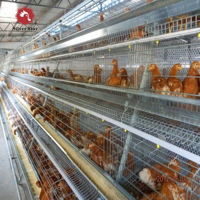 Tavuk çiftliği için A Tipi Broiler Batarya Kafes Sistemi Sıcak Dip Galvanize A Tipi Broiler Kafes Üretici