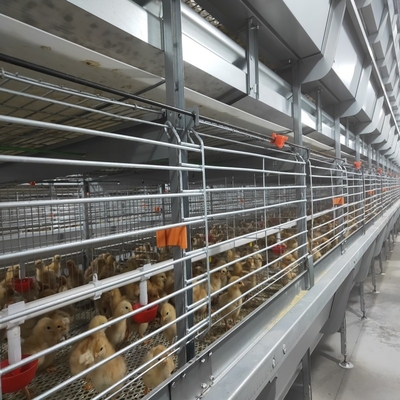 Kenya H Type 3 / 4 Layers Chicken Layer Cages Poultry Farm  Breeding System