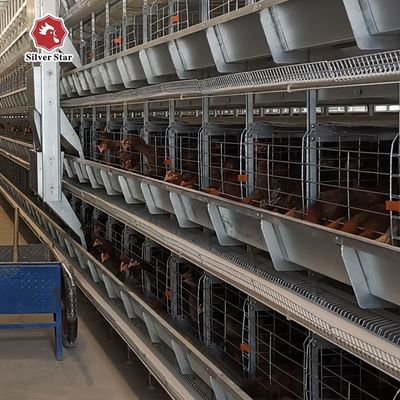 Ticari tavuk çiftlikleri için H-Typ Otomatik Katmanlı Pil Kafes Sistemi - Sıcak Dip Galvanize, Otomatik Yumurta Toplama, 15-20 Yıl Hizmet Süresi