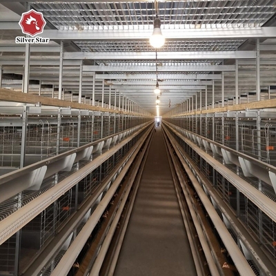 650x1250x2220mm Battery Poultry Cage H Type Automatic For Layer