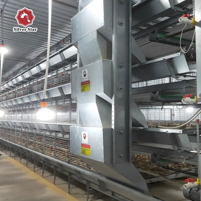 Multi Tier Automatic Poultry Feeding System For Broiler 1800x1200x410mm Size