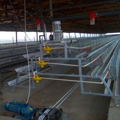Best Price A Type Broiler Cage System Automatic A Type Broiler Cage for 1000–50000 Chickens