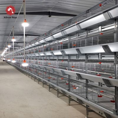 Yüksek Yoğunluklu Yetiştirme ve Otomatik Besleme için Sıcak Daldırma Galvanizli H Tipi Broiler Kafes Sistemi