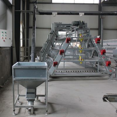 Q235 Hot  Galvanized Automatic Egg Layer Chicken  For Poultry Farm