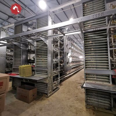 Ticari Et Tavuk Çiftlikleri İçin Otomatik H-Tipi Broiler Batarya Kafes Sistemi