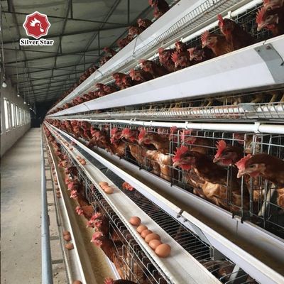 Otomatik besleme ve yumurta toplama sistemleri ile 3 katmanlı / 4 katmanlı A tipi katmanlı tavuk kafesi