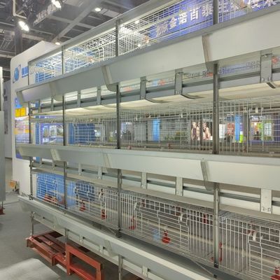 Automatic Broiler Battery Cage System Baby Chick Cage Factory Direct Factory Price