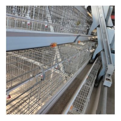 Q235 Hot  Galvanized Automatic Egg Layer Chicken  For Poultry Farm