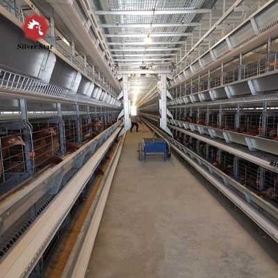 H-Tipi Otomatik Katmanlı Batarya Kafes Sistemi | Henan Silver Star