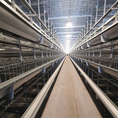 Sıcak Dip Galvanize H Tipi Katman Kafes Büyük Tavuk Çiftliği için Otomatik Besleme ile Yüksek Kapasiteli Otomatik Tavuk Kafesleri