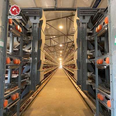 Katman & Broiler için H-Tipi Otomatik Batarya Kafes Sistemi | Fabrikadan Doğrudan