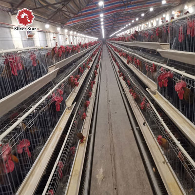 Otomatik besleme ve yumurta toplama ve sıcak dip galvanizli çelik ile 3 katmanlı / 4 katmanlı A tipi katmanlı tavuk kafesi