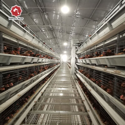 H Tipi Katmanlı Tavuk Kafesleri, 20 Yıllık Hizmet Ömrü ile 3-8 Katmanlı 54-216 Tavuk için