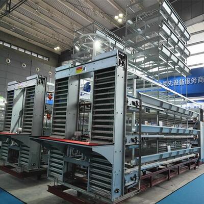 Ticari et tavuk çiftlikleri için H-Tip Otomatik Broiler Pil Kafes Sistemi, Sıcak Dip Galvanize ve Yüklenebilir Modüler Tasarım