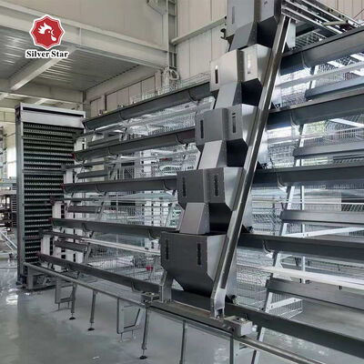 Otomatik Gübre Giderme ve Yüksek Yoğunluklu Tavuk Çiftliği için Sıcak Daldırma Galvanizli A-Tipi Broiler Tavuk Kafesi