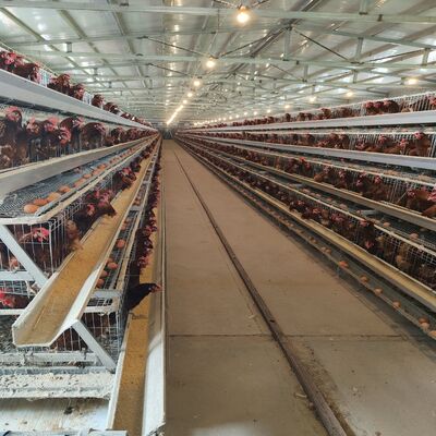 Sıcak Dip Galvanize A Tipi Katman Kafes