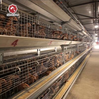 Sıcak Daldırma Galvanizli ve Otomatik Nipel Suluklu 100-300 Tavuk İçin Otomatik A Tipi Civciv Kuluçka Kafes Sistemi/set