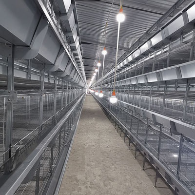 Q235 Battery Cages Laying Hens Chicken Farming Materials A Type